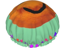 Touca De Banho Feminina Smiley Citrus, Impermeável, Reutilizável, Com Cordão Elástico Lavável, Adequada Para Cabelos