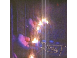CD ROT  - Rot (1CDs)