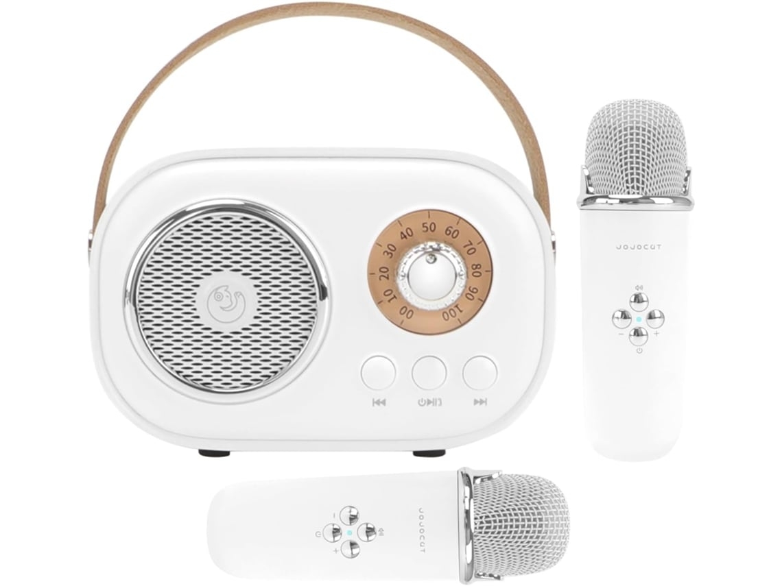 Mini Máquina De Karaokê Infantil Com Alto Falante Bluetooth Portátil E 2 Microfones Sem Fio. Brinquedo Ideal Para Meninos E Menina Aquaforge