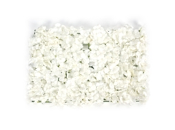 Parede De Flores Artificiais Diy De Seda Decoração Para Boda Festa Cena Fundo Branco