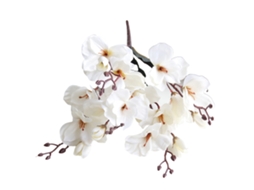 Bouquet De Magnólias Artificiais Laxiscreed Com 20 Flores E 43cm De Altura
