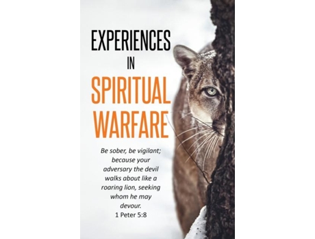 Livro Experiences In Spiritual Warfare De Ryde, J Et Al. (inglês)