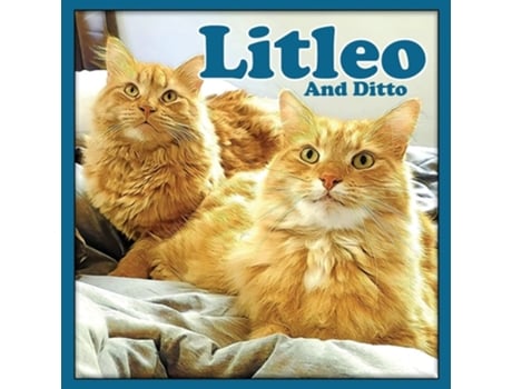 Livro Litleo And Ditto De Linda Deane (inglês)