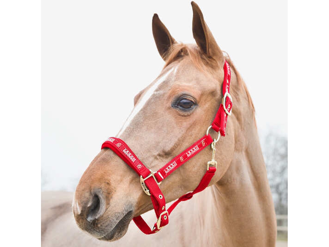 Cabresto para Cavalos HORZE Hamptons