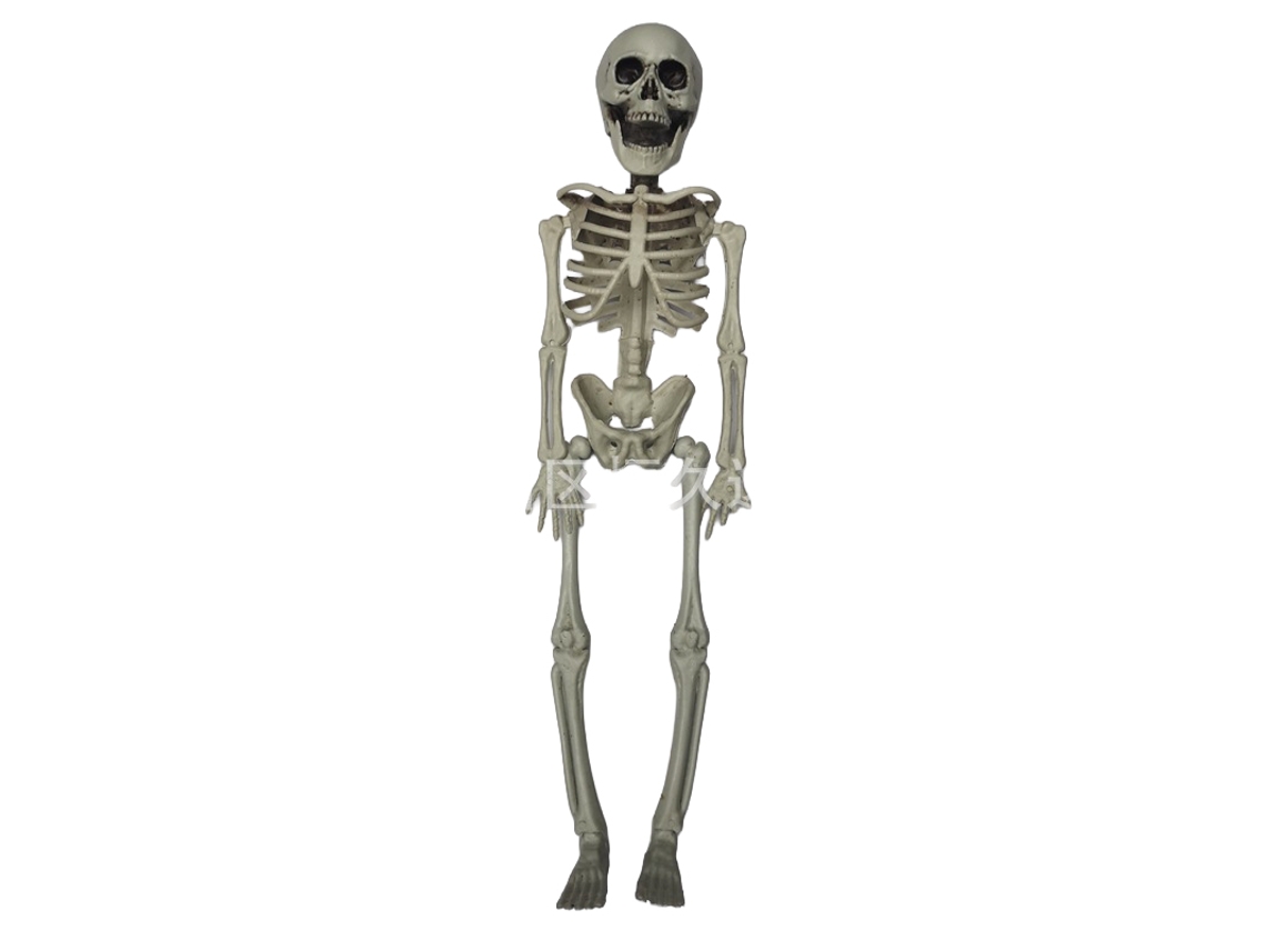 Decoração Assustadora Para Halloween Com Esqueletos E Acessórios De Terror Da Laxiscreed