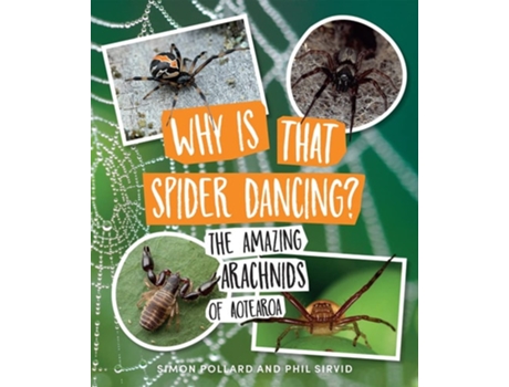 Livro Why Is That Spider Dancing? De Simon Pollard E Phil Sirvid (inglês)