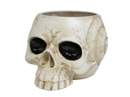 Primerox vaso de Flores em Formato de Crânio Gótico para Suculentas Decorativo Home Office