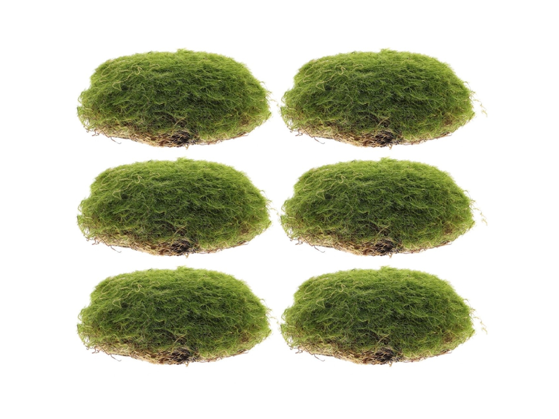 Secfou Kit de 6 Pedras Artificiais com Musgo, Feitas de Espuma e Plástico, para Decoração de Jardim Externo, com Design CHABERLU
