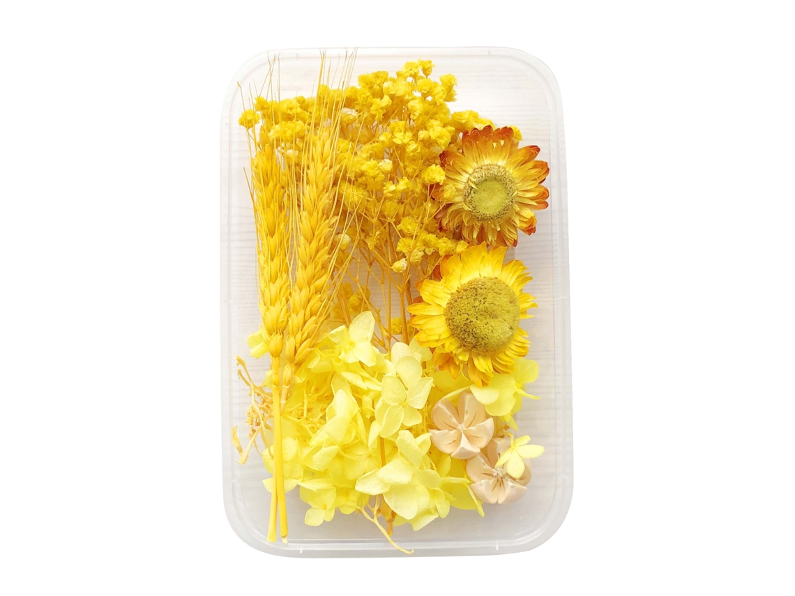 Flores Secas Amarelas, 17 Pack de 10 Peças LAXISCREED