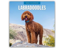Livro Labradoodles 2026 Square Wall Calendar de Red Robin (Inglês)