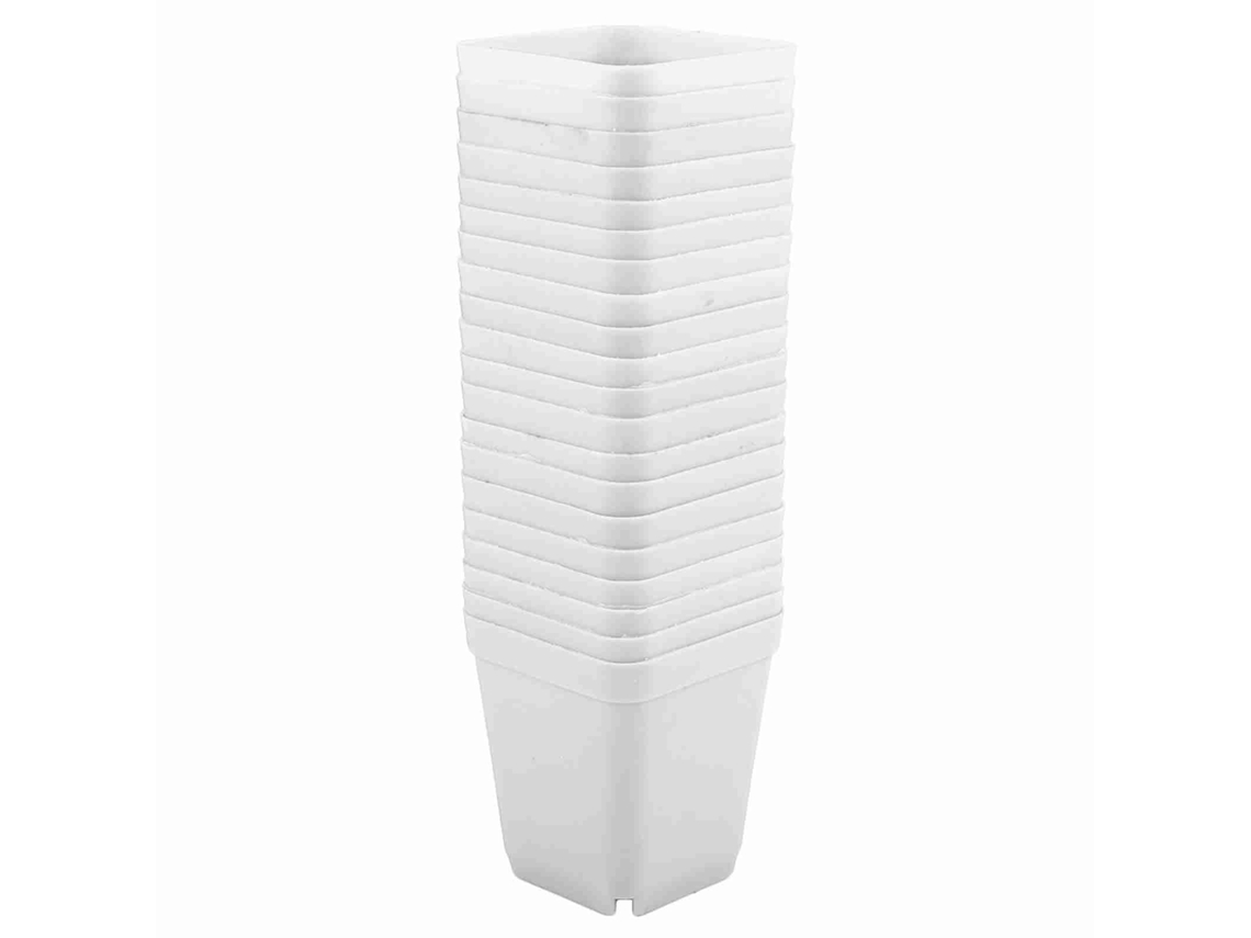 20 Vasos Mini Suculentas Modernos LAXISCREED