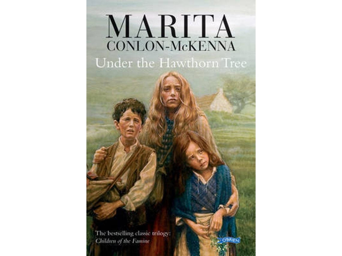 Livro THE DRUIDS TUNE de Orla Melling (Inglês)