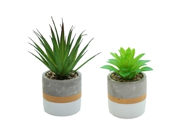 2 Peças de Mini Suculentas Simuladas em Vaso Ornamentos Criativos de Moda Plantas Artificiais NEVEANCE