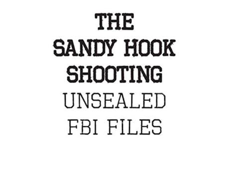 Livro The Sandy Hook Shooting The FBI Files Unsealed Files on Adam Lanza The Sandy Hook Shooting de FBI (Inglês)