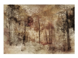 Papel de Parede ARTGEIST Lost in the woods (400x280)