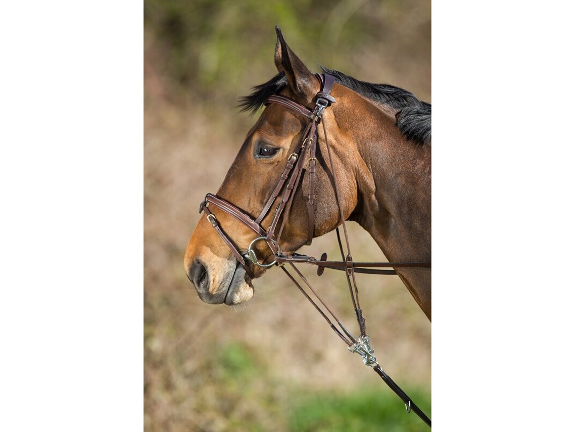 Gogue para Cavalos HFI