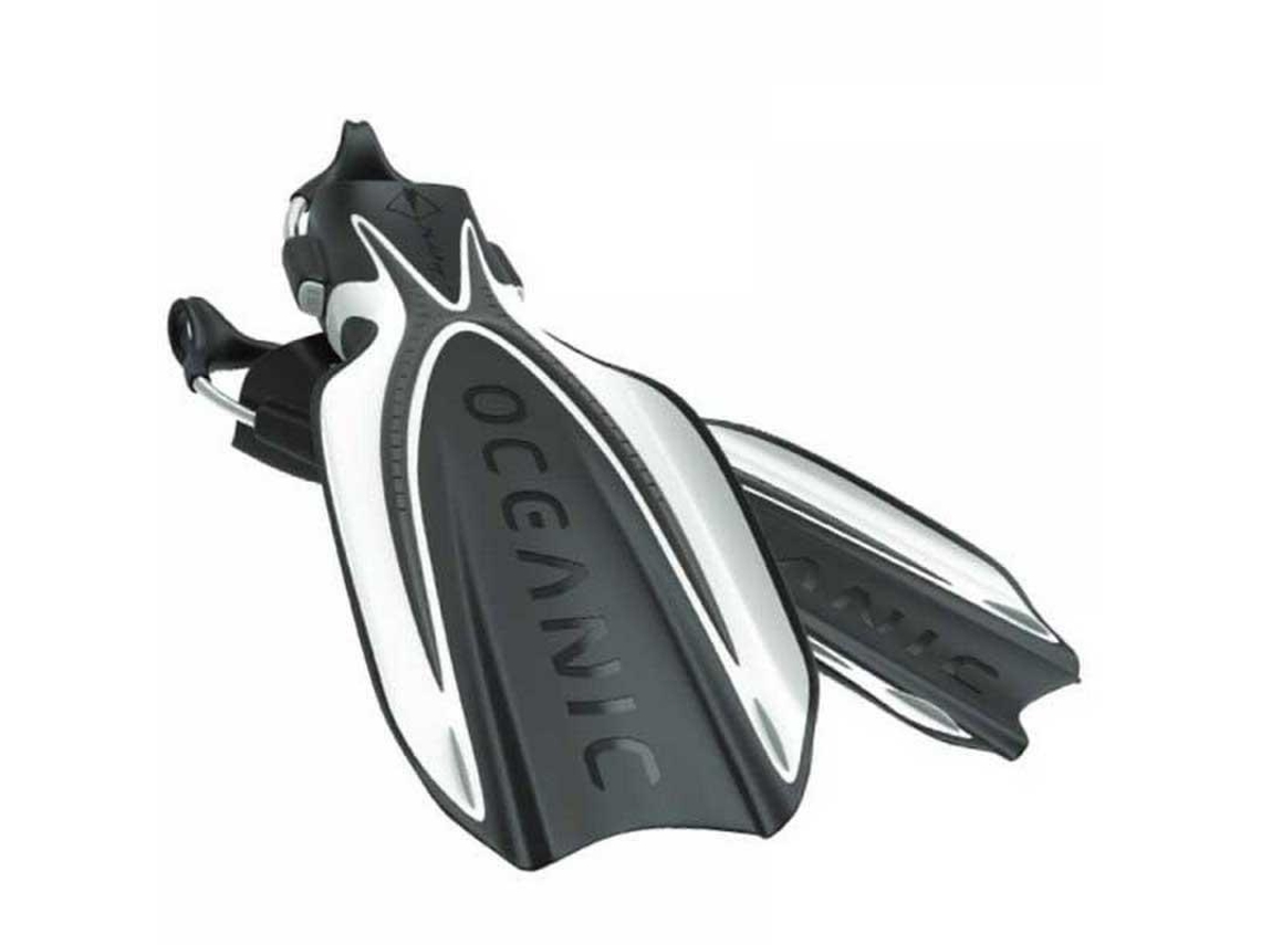 Oceanic Manta Ray