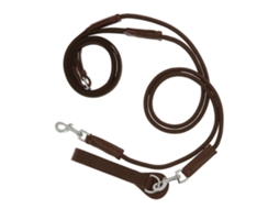 Rédeas Do Canva German Dourado Fullnorton Equestrian