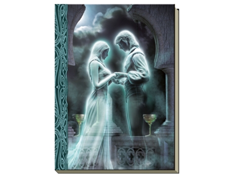 Livro Ghost Journal de Corsi e Davide (Francês - Capa Dura)