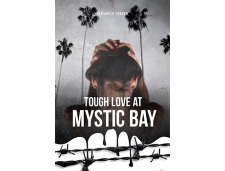 Livro Tough Love At Mystic Bay De Rebecca Dimyan E Elizabeth Sowden (inglês)