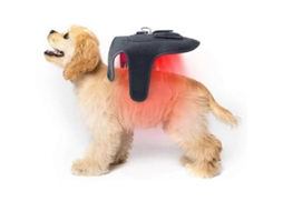 Cinto terapêutico com luz infravermelha vermelha para cães e gatos, dispositivo recarregável com 42 LEDs PENGDSJE