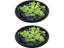 Rede Protetora Flutuante Respirável Para Lagos De Baixa Manutenção, Ideais Para Peixes E Plantas.