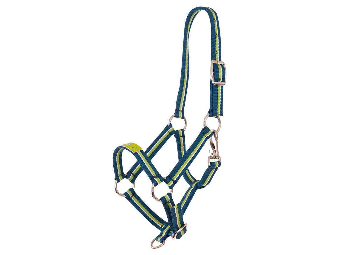 Cabresto para Potros PREMIERE Equitation Fun