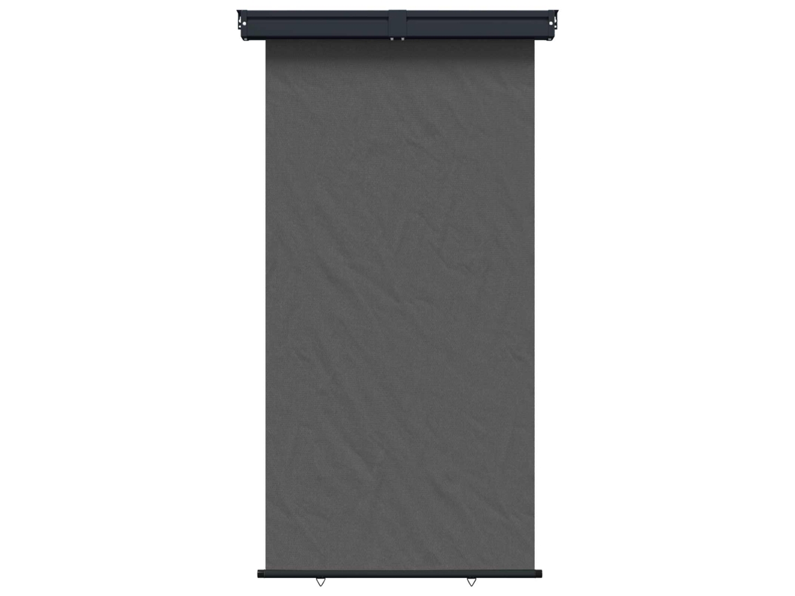 Vidaxl Toldo Lateral De Varanda 170 X 250 Cm