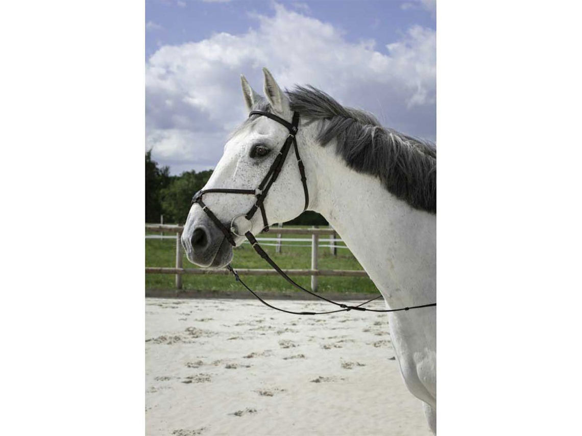 Cabeçada Cross Cinzento Ponyriding World