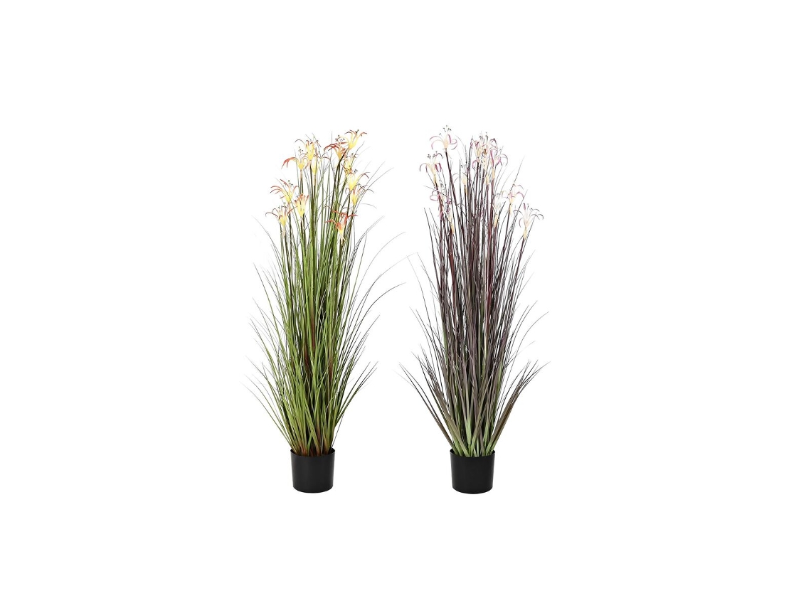 Planta Decorativa DKD HOME DECOR (Multicor)