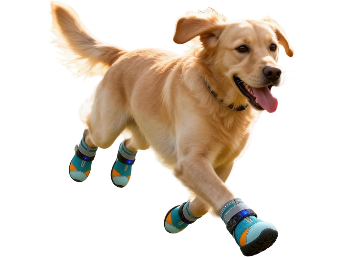 Sapatos De Gato Com Luzes, Respiráveis E Antiderrapantes