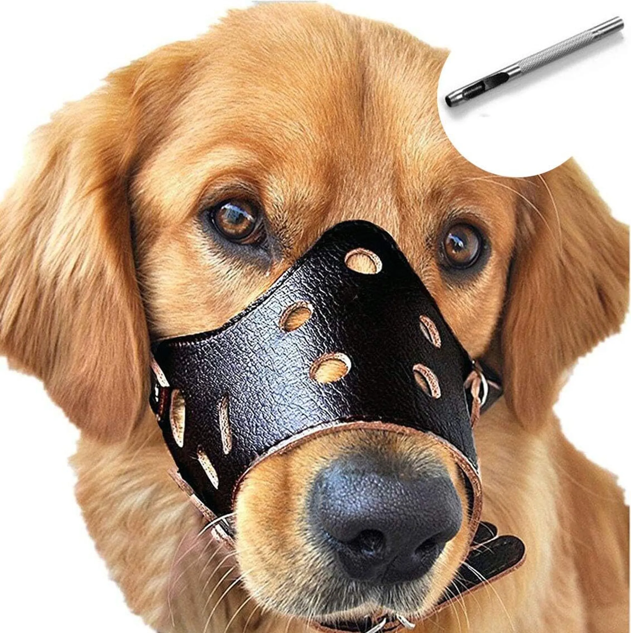 Mordaça para Cachorro Couro, Respirável e Ajustável YANYXR