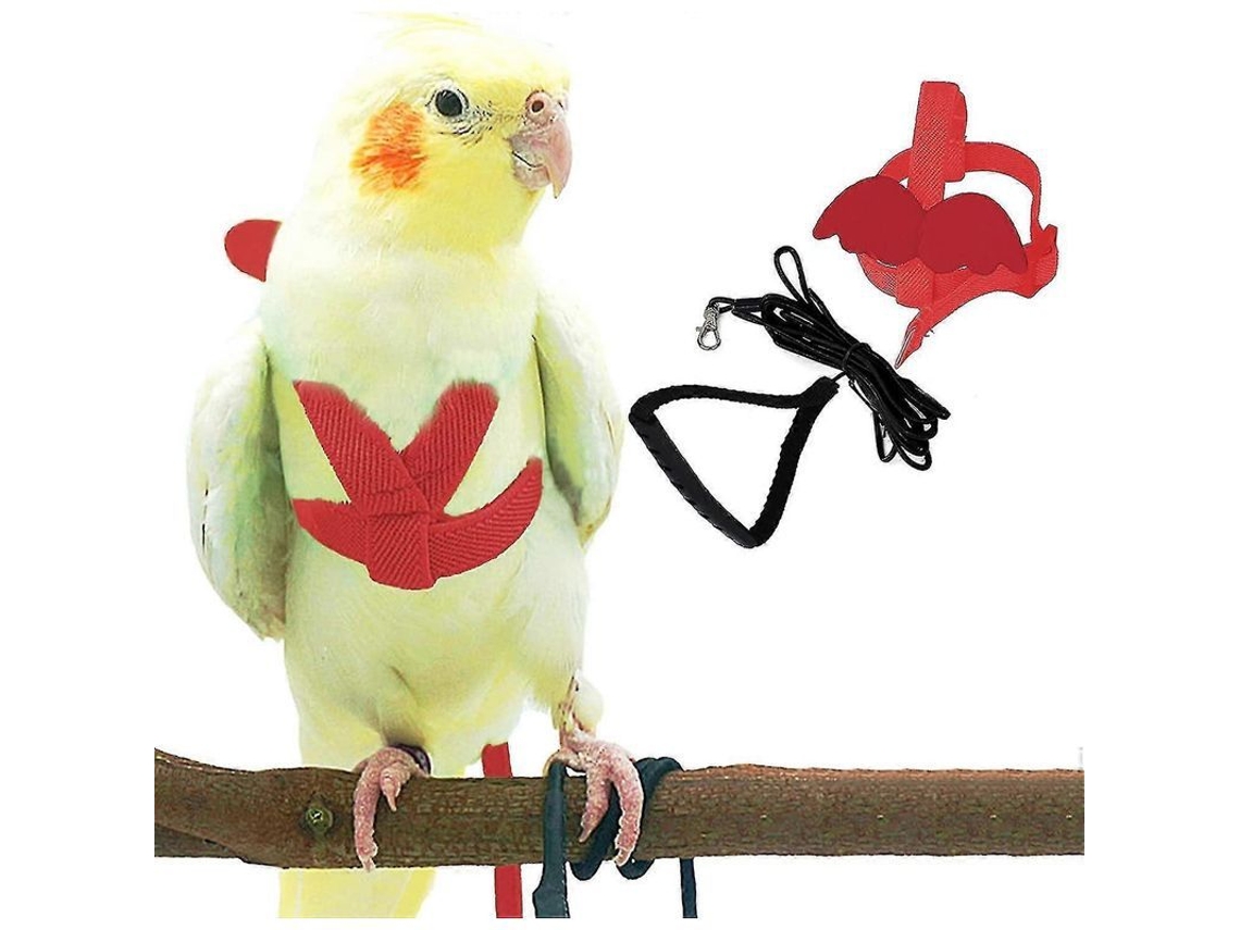 2026 arnés Ajustable para Aves Con Correa de 2 Metros, Kit de Entrenamiento Al Aire Libre para Loro Cacatúa Y Periquitos