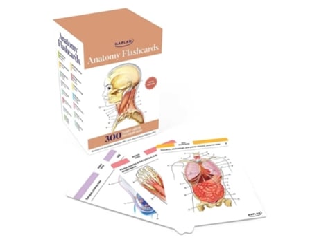 Livro Anatomy Flashcards 300 Flashcards with Anatomically Precise Drawings and Exhaustive Descriptions de Joanne Tillotson (Inglês)