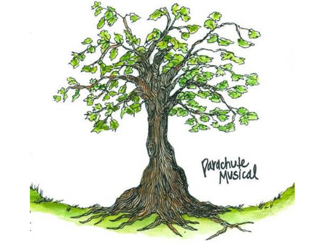 CD Parachute Musical - Everything Is Real (1CDs)