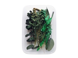 Conjunto de 10 Flores Secas Verdes para Velas LAXISCREED
