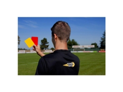 Powershot Referee Card 2 Units
