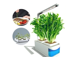 Kit Jardim Indoor com Sistema Hidropônico e Luz LED de Crescimento Plantas Lâmpada de Leitura S/MARCA