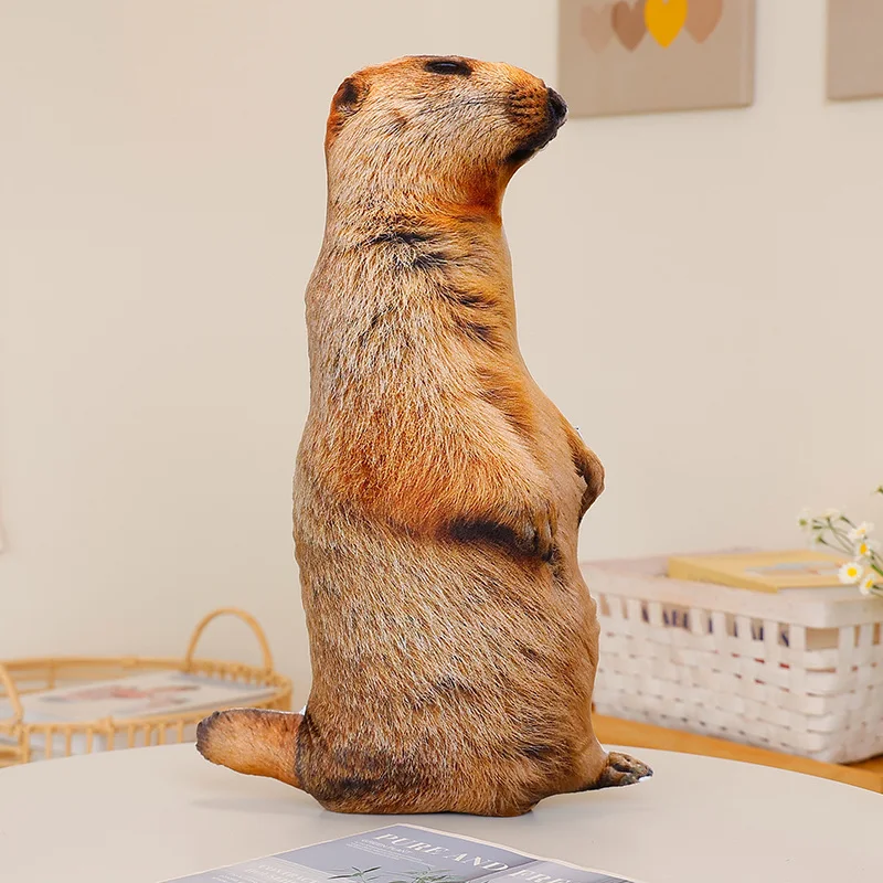 Almofada Decorativa 3d com Estampa de Marmota , Ideal para Sofá Ou Quarto. MDUG (40x36 Cm)