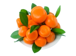 Laranja falsa artificial simulação mini para decoração de casa festas cozinha natal casamento 18un S/MARCA