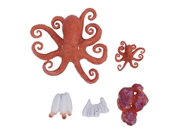 5 Peças Conjunto De Estatuetas De Polvo Brinquedo Educativo Ciclo De Vida Animal Marinho Pvc