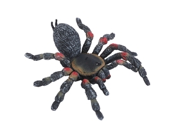 Primerox modelo de Inseto de Simulação Decorativo Brinquedo Halloween para Crianças Pl127 845