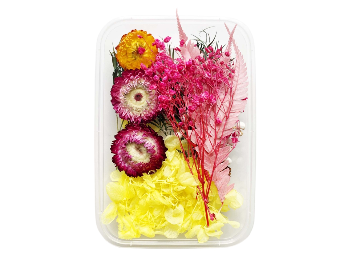 Conjunto de 10 Flores Preservadas para Aromaterapia LAXISCREED