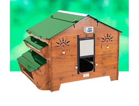 Gallinero Exterior Polly Farm Evolution - Gallinero con comedero Integrado