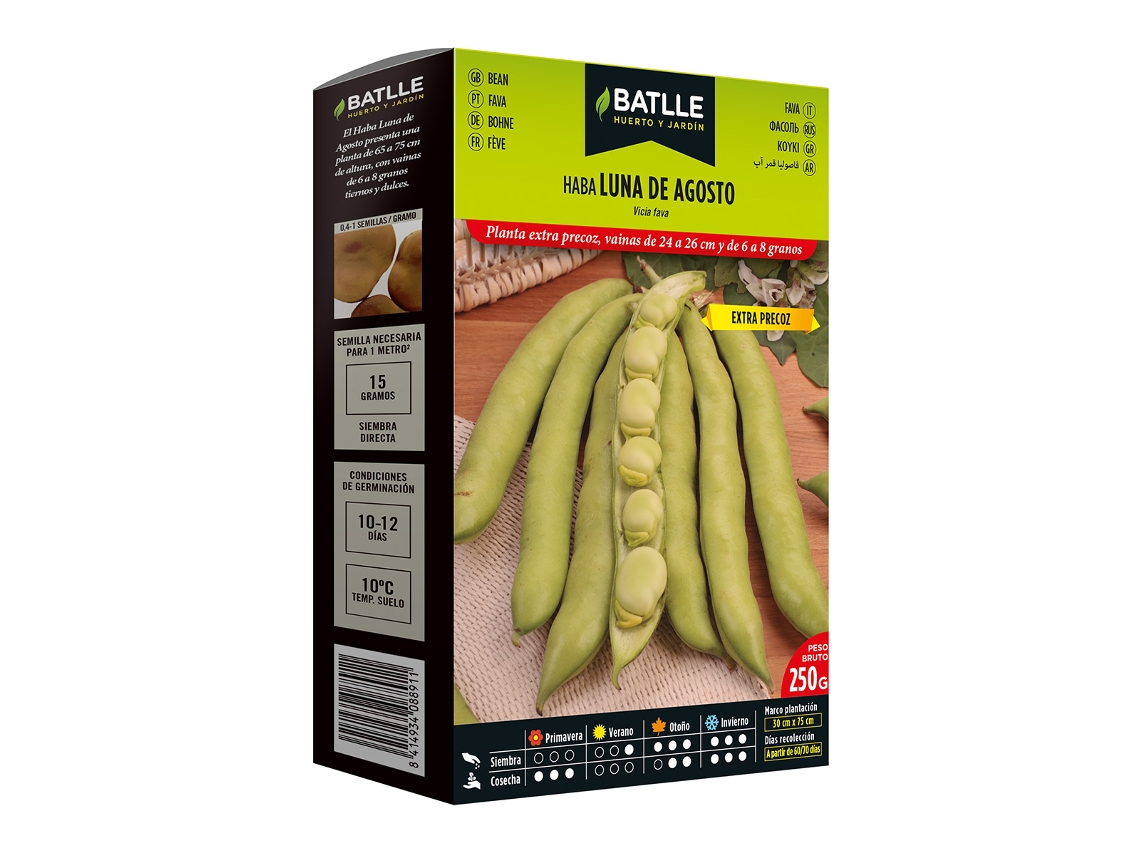Sementes de Fava Extra Precoce Luna de Agosto 250 G BATLLE