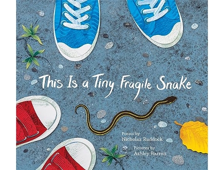 Livro This Is a Tiny Fragile Snake de Nicholas Ruddock (Inglês - Capa Dura)