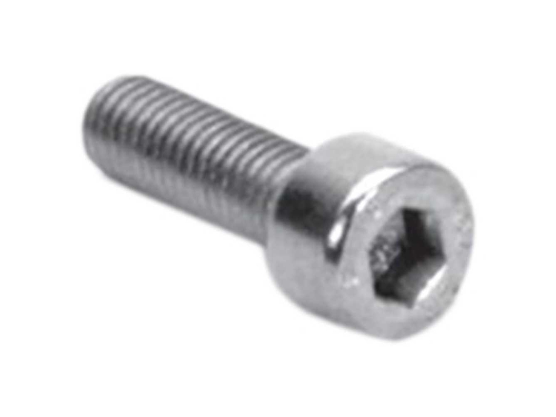 Schwarz Screw Hexagonal 10 Units