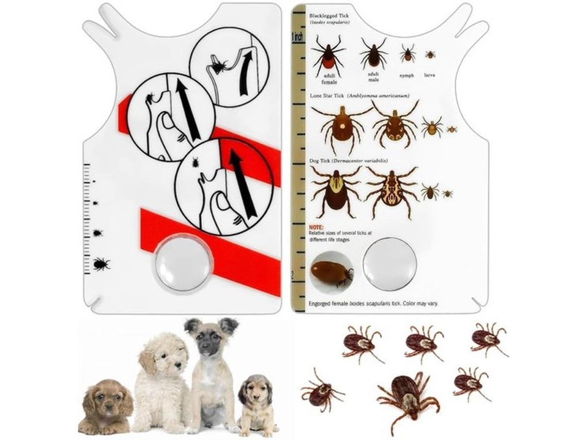 Tijdschriftpincet 2 Unidades - Tijdschriftverwijderaar Com Lupa De Ampliação - Tijdschriftkaart - Formato Compacto - Para Pessoas/animais De Estimação