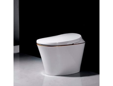 Sanita Japonesa R570 Saída Do Pavimento