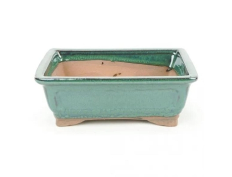 Maceta bonsai ceramica verde n3 14x9 cm